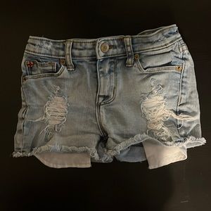 Hudson Denim Shorts